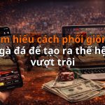 Tìm hiểu cách phối giống gà đá để tạo ra thế hệ vượt trội