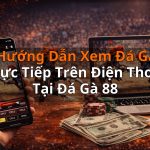 Hướng Dẫn Xem Đá Gà Trực Tiếp Trên Điện Thoại Tại Đá Gà 88