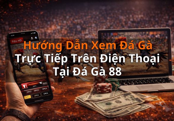 Hướng Dẫn Xem Đá Gà Trực Tiếp Trên Điện Thoại Tại Đá Gà 88