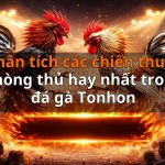 Phân tích các chiến thuật phòng thủ hay nhất trong đá gà Tonhon