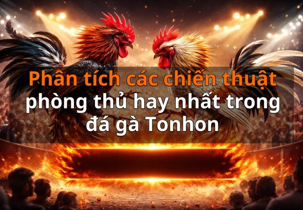 Phân tích các chiến thuật phòng thủ hay nhất trong đá gà Tonhon