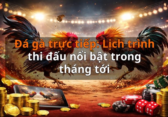 Đá gà trực tiếp: Lịch trình thi đấu nổi bật trong tháng tới