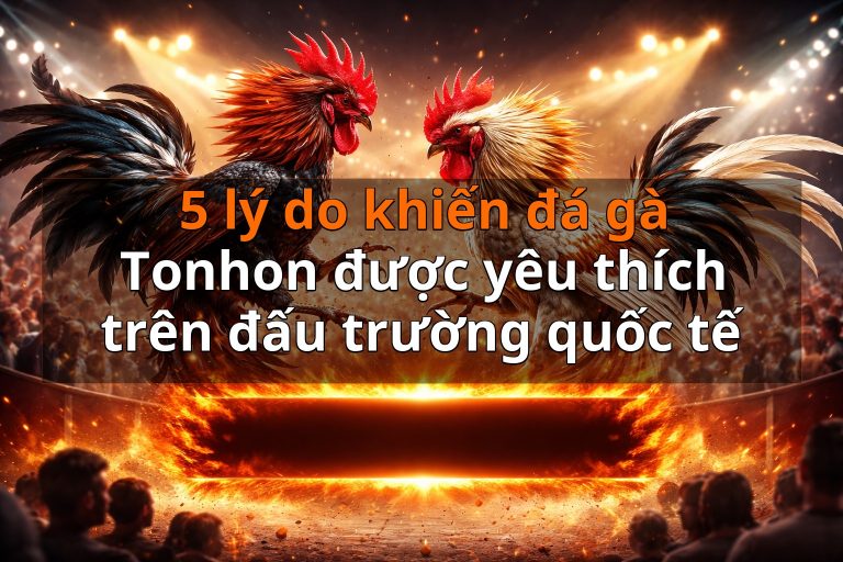 5 lý do khiến đá gà Tonhon được yêu thích trên đấu trường quốc tế
