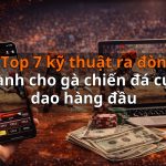 Top 7 kỹ thuật ra đòn dành cho gà chiến đá cựa dao hàng đầu