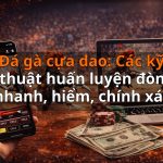 Đá gà cựa dao: Các kỹ thuật huấn luyện đòn nhanh, hiểm, chính xác