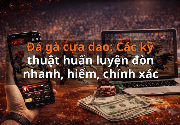 Đá gà cựa dao: Các kỹ thuật huấn luyện đòn nhanh, hiểm, chính xác