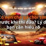Có nên cho gà chọi tắm trước khi thi đấu? Lý do bạn cần hiểu rõ
