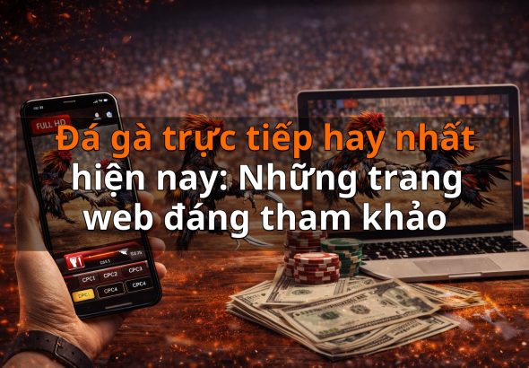 Đá gà trực tiếp hay nhất hiện nay: Những trang web đáng tham khảo