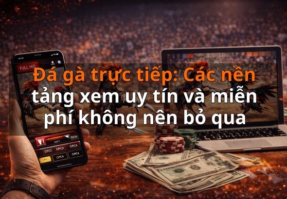 Đá gà trực tiếp: Các nền tảng xem uy tín và miễn phí không nên bỏ qua