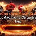 Những chiến thuật ra đòn độc đáo trong đá gà trực tiếp