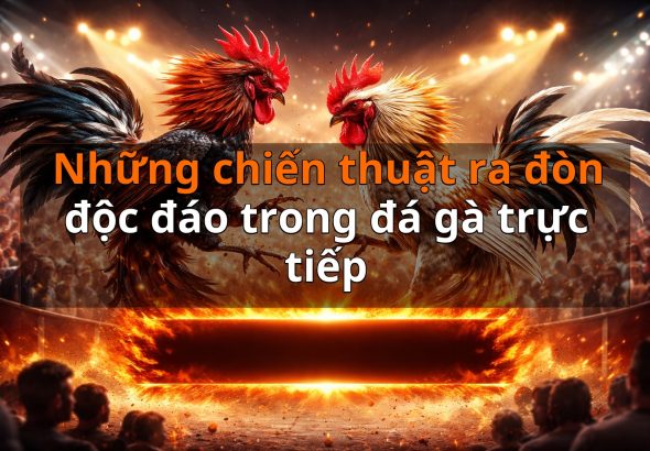 Những chiến thuật ra đòn độc đáo trong đá gà trực tiếp