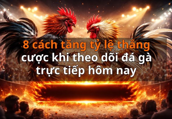 8 cách tăng tỷ lệ thắng cược khi theo dõi đá gà trực tiếp hôm nay