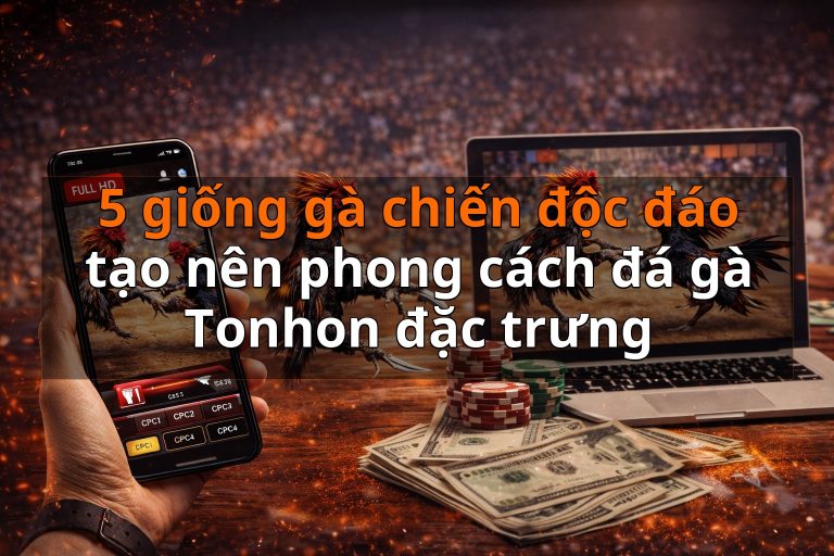 5 giống gà chiến độc đáo tạo nên phong cách đá gà Tonhon đặc trưng