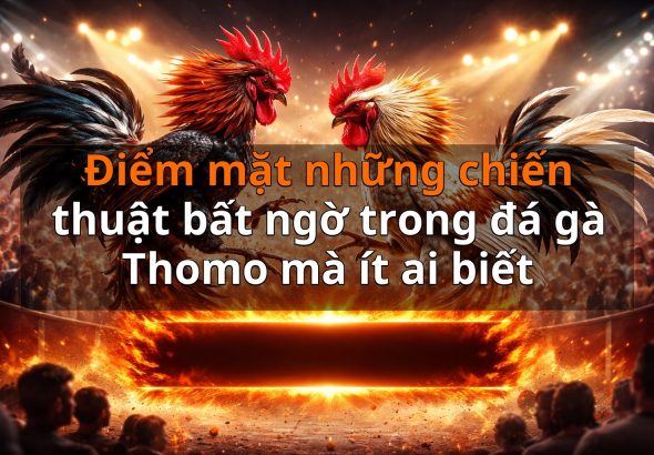 Điểm mặt những chiến thuật bất ngờ trong đá gà Thomo mà ít ai biết