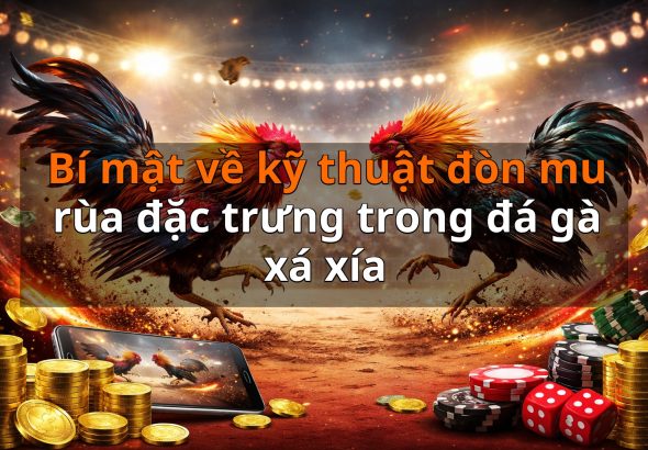 Bí mật về kỹ thuật đòn mu rùa đặc trưng trong đá gà xá xía
