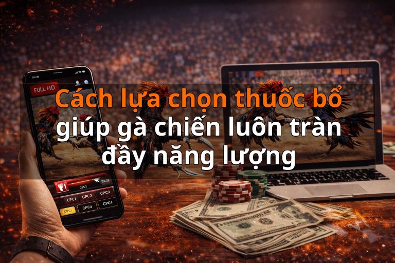 Cách lựa chọn thuốc bổ giúp gà chiến luôn tràn đầy năng lượng