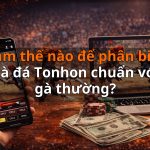 Làm thế nào để phân biệt gà đá Tonhon chuẩn với gà thường?