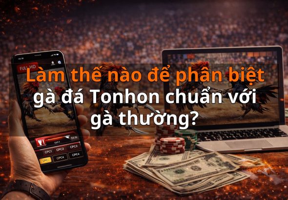Làm thế nào để phân biệt gà đá Tonhon chuẩn với gà thường?