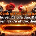Đánh giá các dòng gà chuyên đá cựa dao: Đặc điểm và ưu nhược điểm