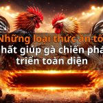 Những loại thức ăn tốt nhất giúp gà chiến phát triển toàn diện
