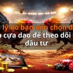 5 lý do bạn nên chọn đá gà cựa dao để theo dõi và đầu tư