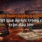 Cách huấn luyện gà chiến vượt qua áp lực trong các trận đấu lớn