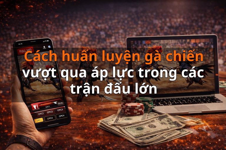 Cách huấn luyện gà chiến vượt qua áp lực trong các trận đấu lớn
