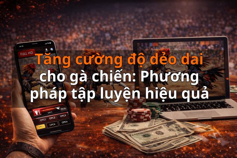 Tăng cường độ dẻo dai cho gà chiến: Phương pháp tập luyện hiệu quả