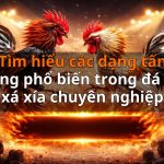 Tìm hiểu các dạng tấn công phổ biến trong đá gà xá xía chuyên nghiệp