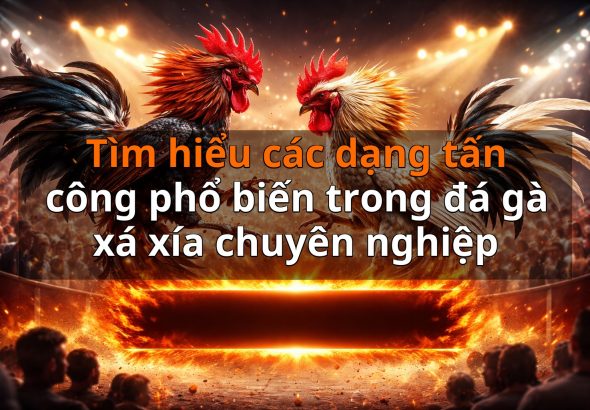 Tìm hiểu các dạng tấn công phổ biến trong đá gà xá xía chuyên nghiệp