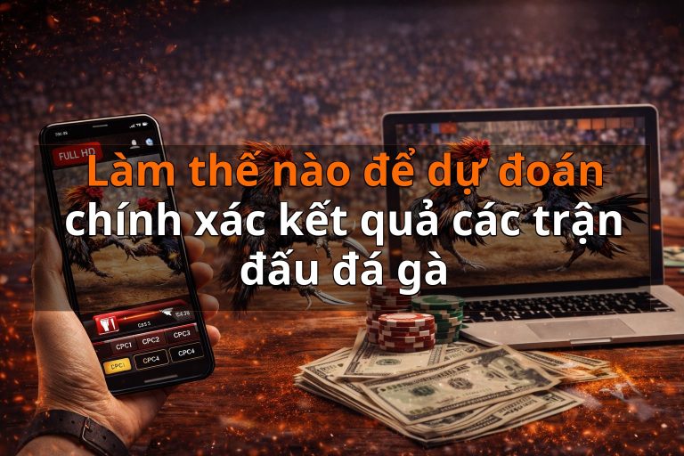 Làm thế nào để dự đoán chính xác kết quả các trận đấu đá gà