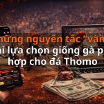 Những nguyên tắc “vàng” khi lựa chọn giống gà phù hợp cho đá Thomo