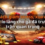 Cách giảm stress, xua đi sự lo lắng cho gà đá trước trận quan trọng