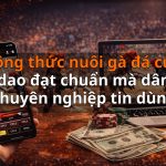 Công thức nuôi gà đá cựa dao đạt chuẩn mà dân chuyên nghiệp tin dùng