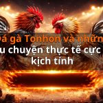 Đá gà Tonhon và những câu chuyện thực tế cực kỳ kịch tính