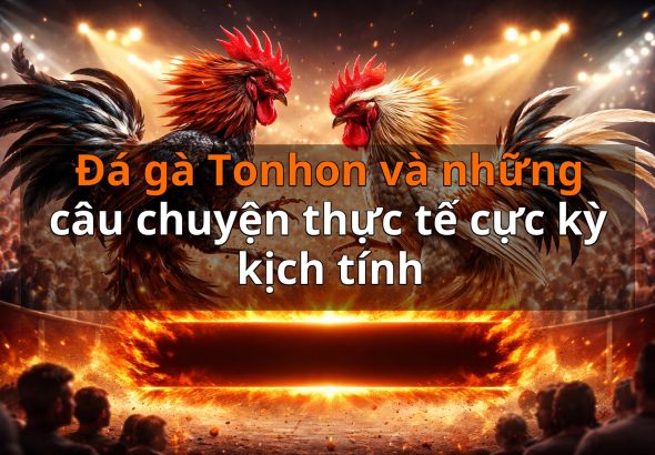 Đá gà Tonhon và những câu chuyện thực tế cực kỳ kịch tính