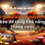 Đá gà xá xía: Bí quyết đọc kèo để tăng khả năng thắng cược